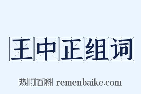 王中正组词是什么意思的图片